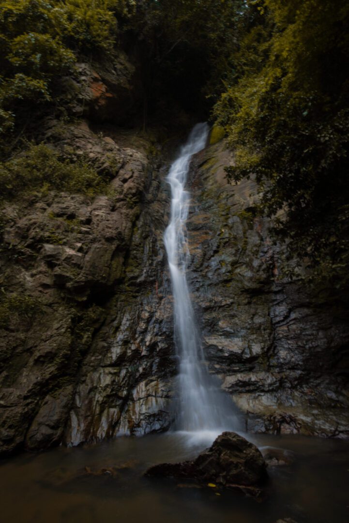 Tall waterfall surrounded by greenery
