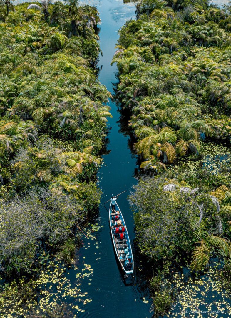 Canoe journey amidst dense green foliage