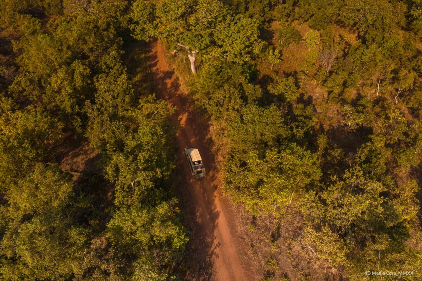 Car traveling on dirt path in forest
