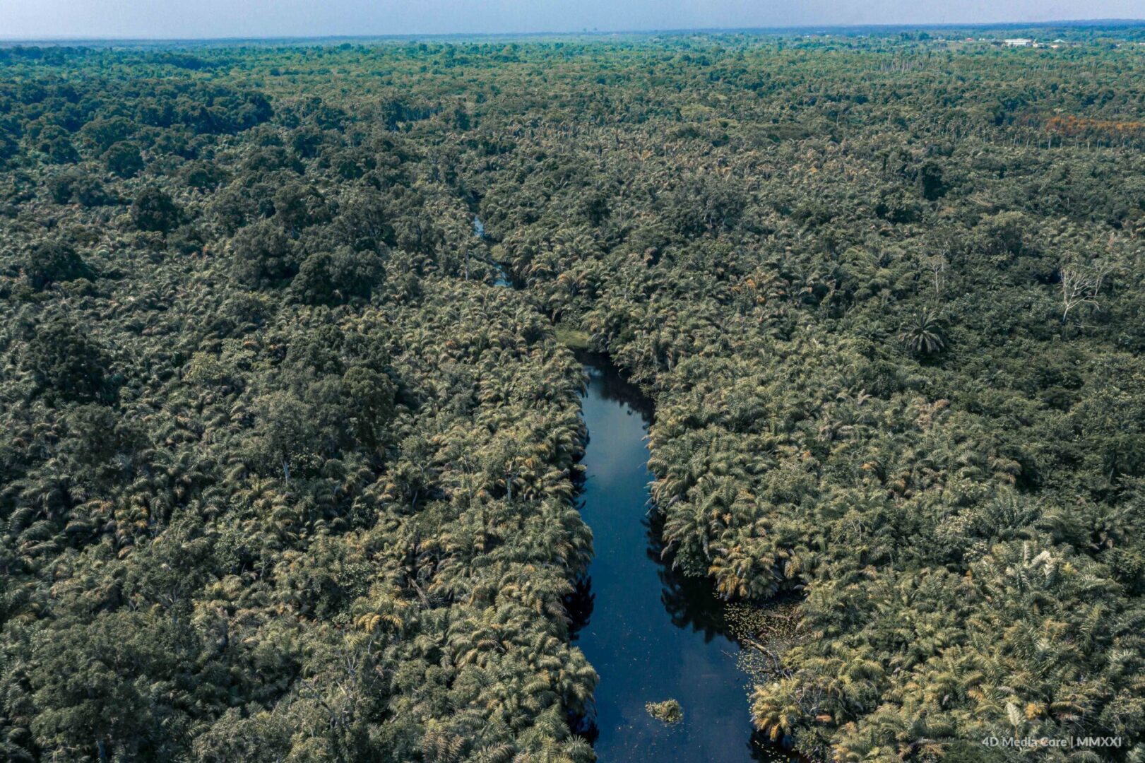 Verdant jungle landscape with river