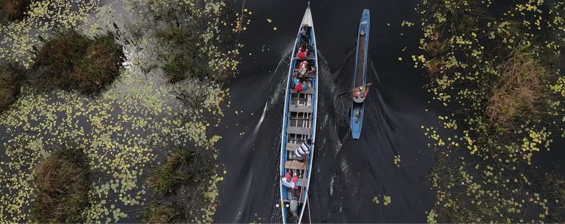 Boats navigating through lush marshlands