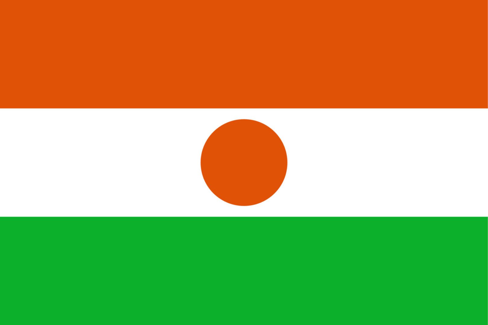 National flag of Niger with central circle